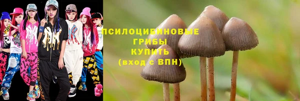 ГАЛЛЮЦИНОГЕННЫЕ ГРИБЫ Новокубанск