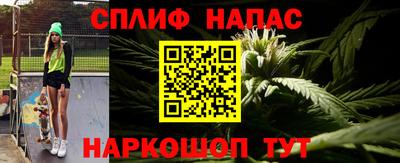 прущие грибы Абакан