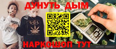 прущие грибы Абакан