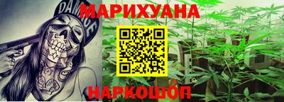 прущие грибы Абакан
