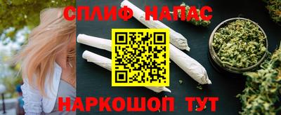 прущие грибы Абакан