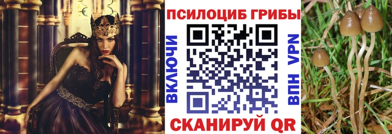 Псилоцибиновые грибы GOLDEN TEACHER  где купить наркоту  Черногорск 