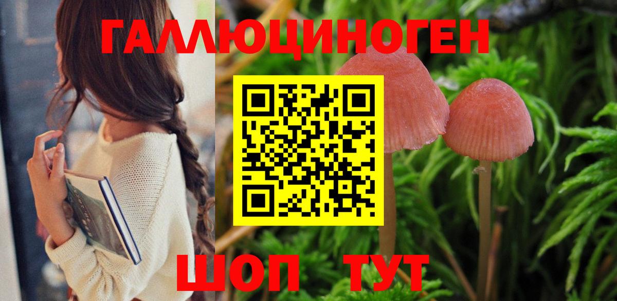 Псилоцибиновые грибы GOLDEN TEACHER  Вход с VPN  Черногорск 