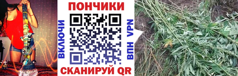 МАРИХУАНА индика  где найти наркотики  Черногорск 