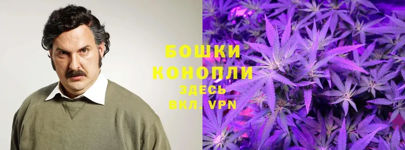 Бошки марихуана THC 21%  где можно купить   Черногорск 