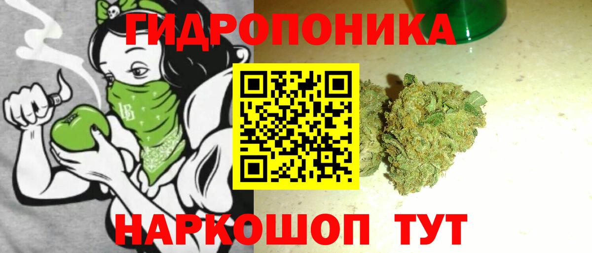 Бошки Шишки Amnesia Черногорск