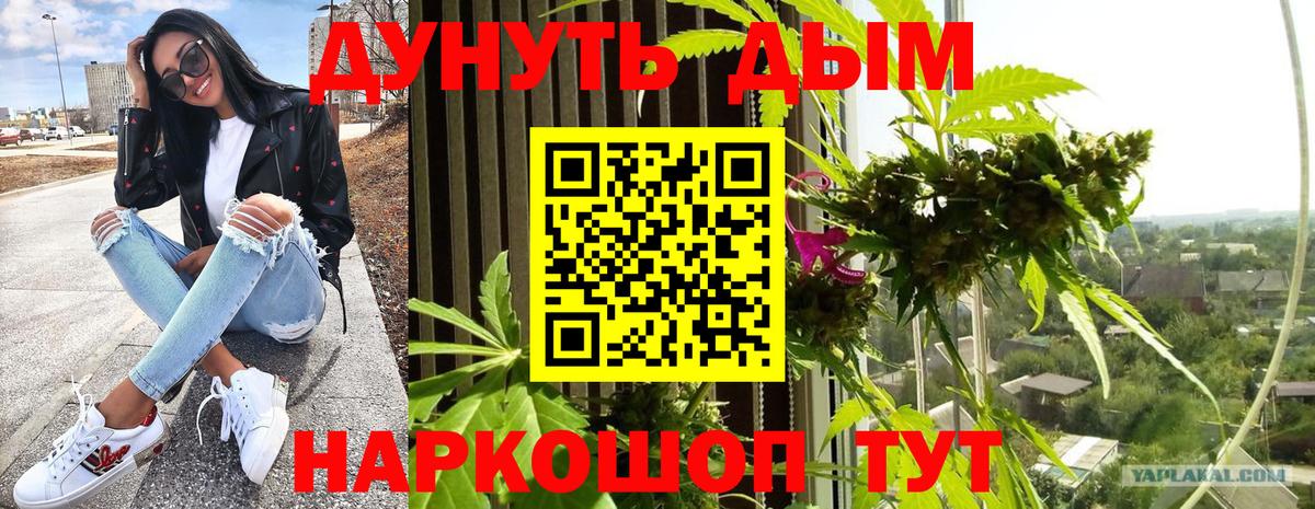 Бошки Шишки Черногорск
